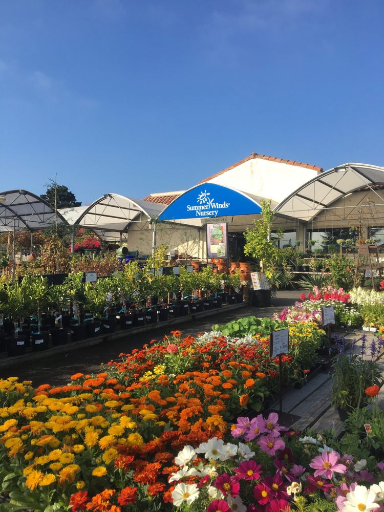 Summerwinds Nursery Cupertino Nurseries Gardening 73 Photos Summerwinds Nursery