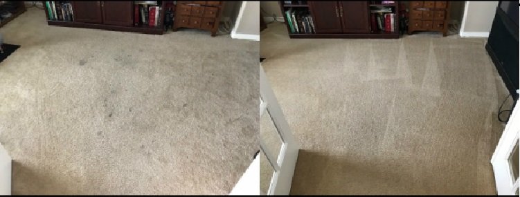 Sears Carpet Cleaning & Air Duct Cleaning