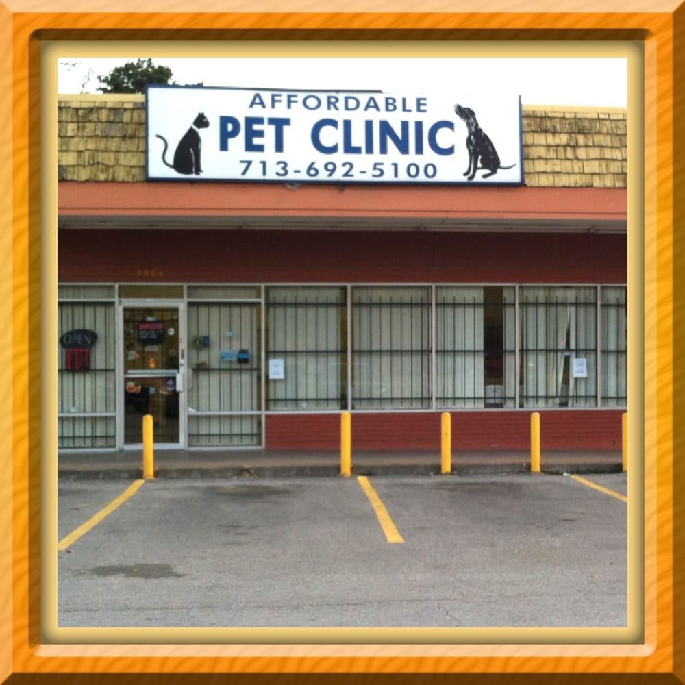 Walk In Pet Clinic Near Me At Jane Lassiter Blog