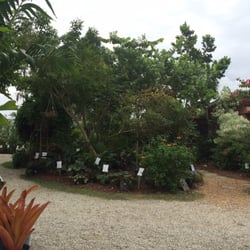 Riverland Nursery Nurseries Gardening 13005 Palm Beach Blvd Photo Of Riverland Nursery Fort Myers Fl United States