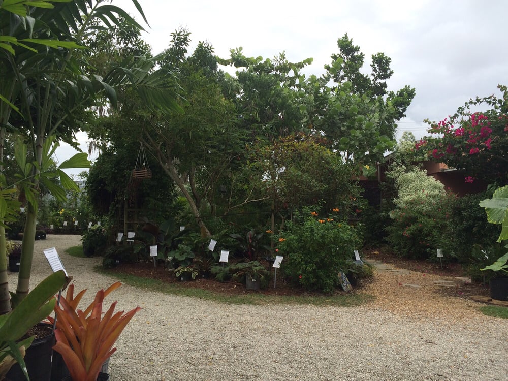 3 Acres Worth Of Plants Edibles Tropical Hedges Etc Yelp 3 Acres Worth Of Plants Edibles Tropical Hedges Etc Yelp