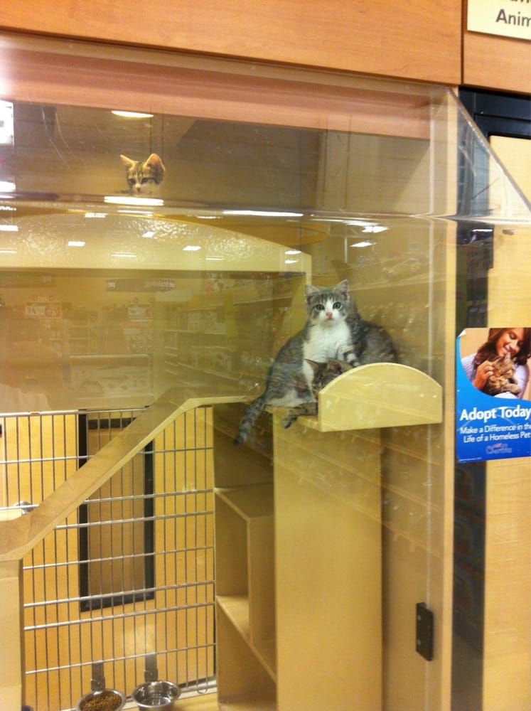 PetSmart Pet Training 5241 Frederica St, Owensboro, KY Phone