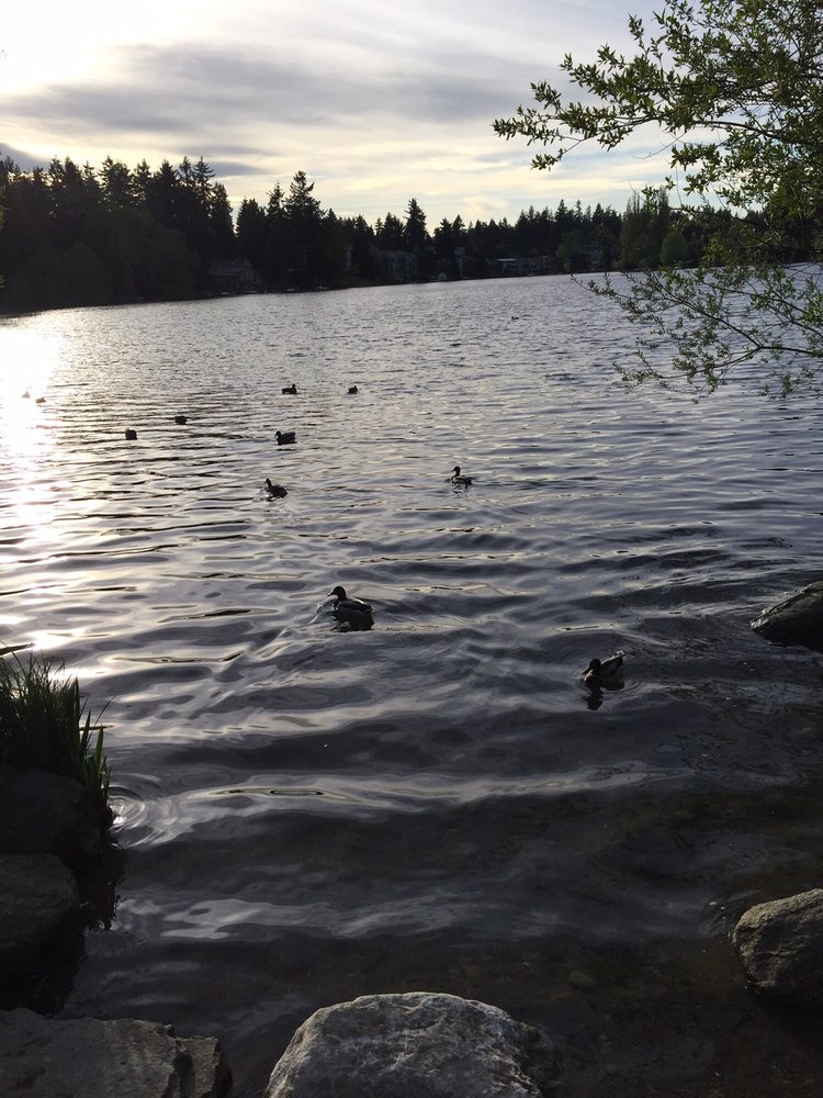 Bitter Lake Playfield 14 Photos Parks 13035 Linden Ave N, Bitter