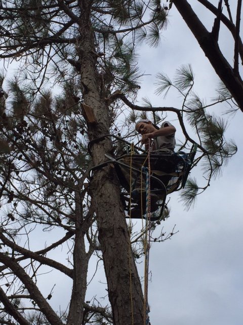 Four Seasons Landscaping