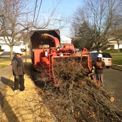 Tree Service Brunswick  Photo of Genie Tree Service - New Brunswick, NJ, United States. The "