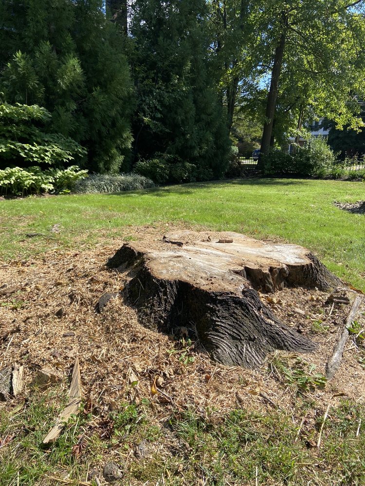 Strobert Tree Services