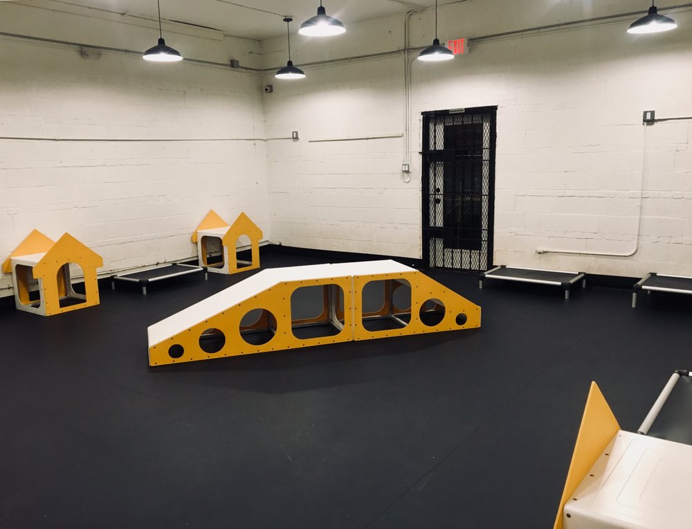 dog play room inside photo of district dogs washington dc united states large dog play room yelp dog play room inside photo of district dogs washington dc united states large dog play room yelp
