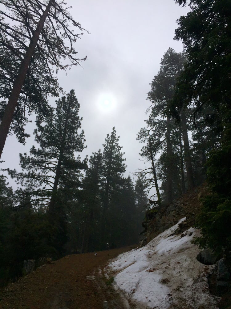 Tehachapi Mountain Park 49 Photos & 10 Reviews Hiking Water