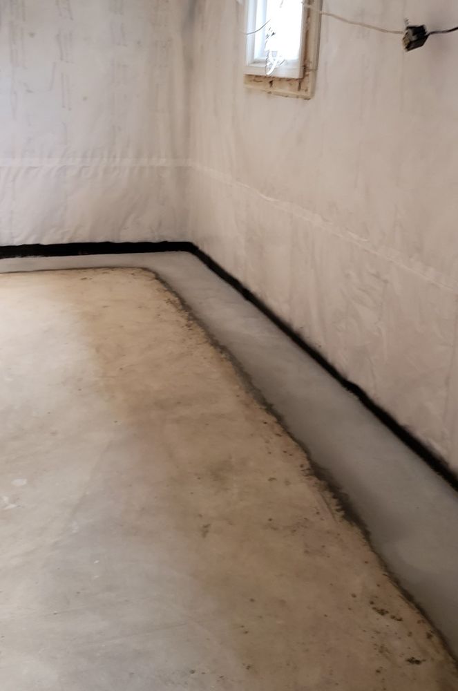 image of business Basement Detective