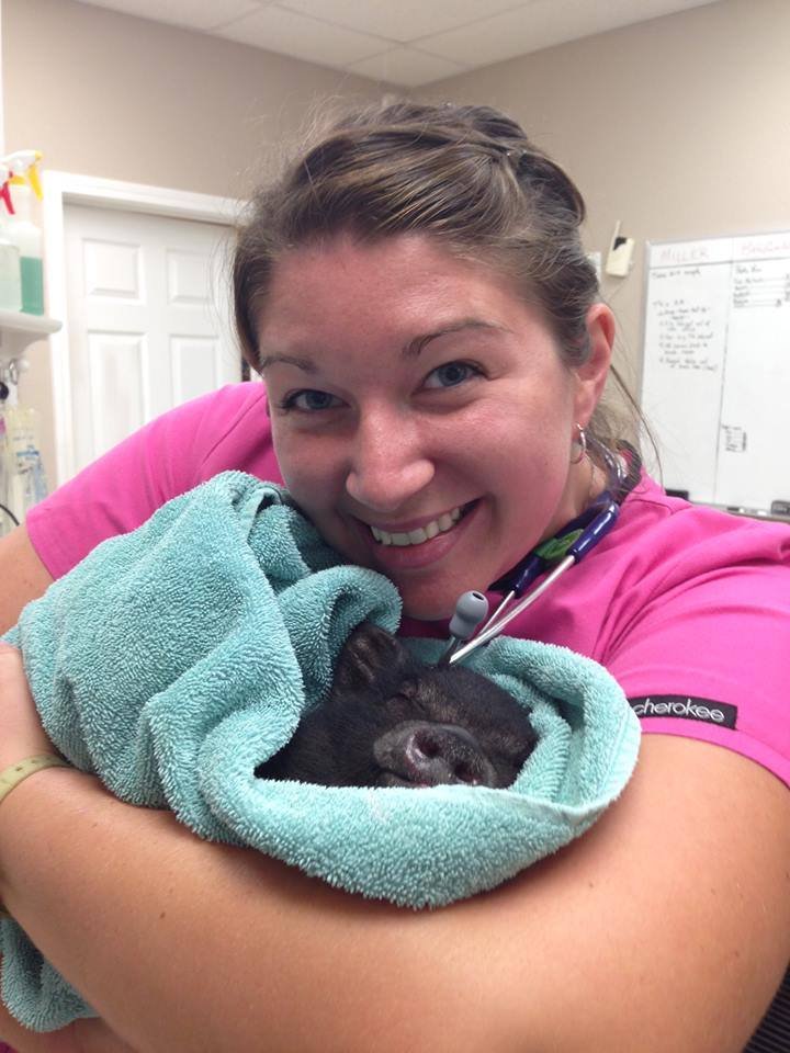 Green Hills Veterinary Clinic Veterinarians 1709 E Urbandale Dr, Moberly, MO Phone Number