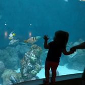 National Mississippi River Museum Aquarium 216 Photos 61 Photo Of National Mississippi River Museum Aquarium Dubuque Ia United States