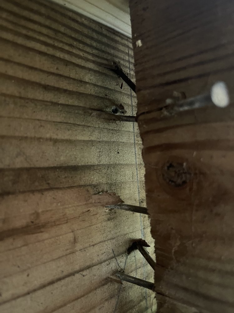 DHN Landscapes & Properties