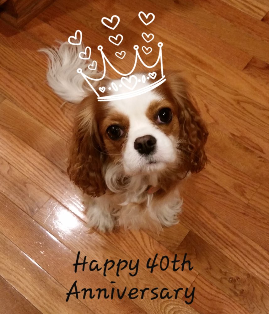 image of business Steve