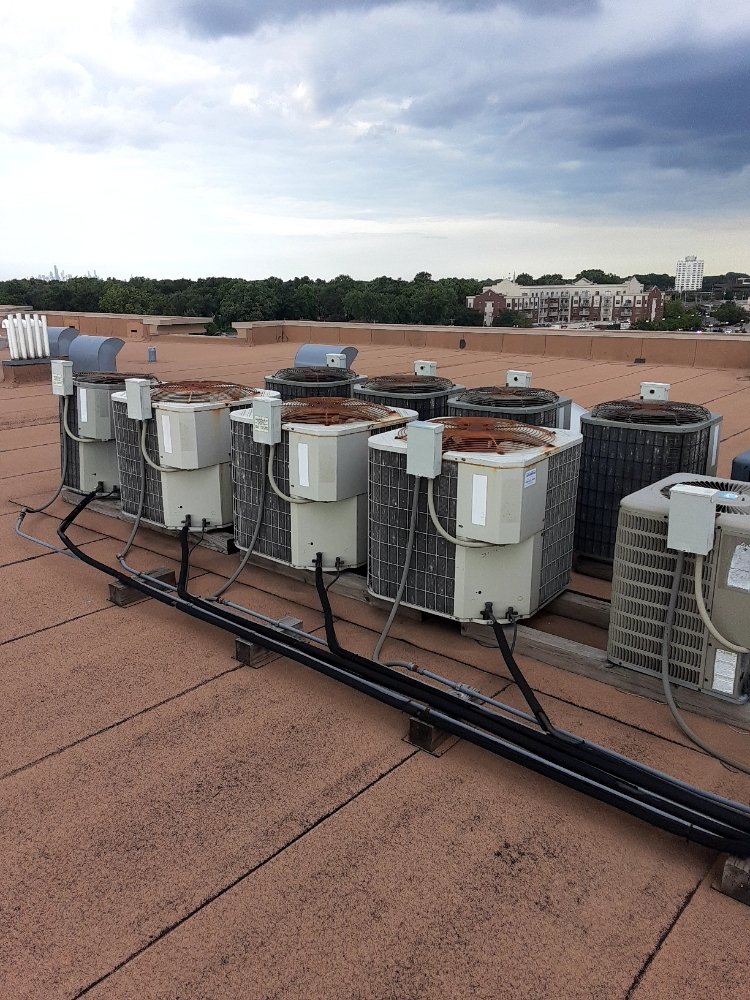 image of business All Seasons