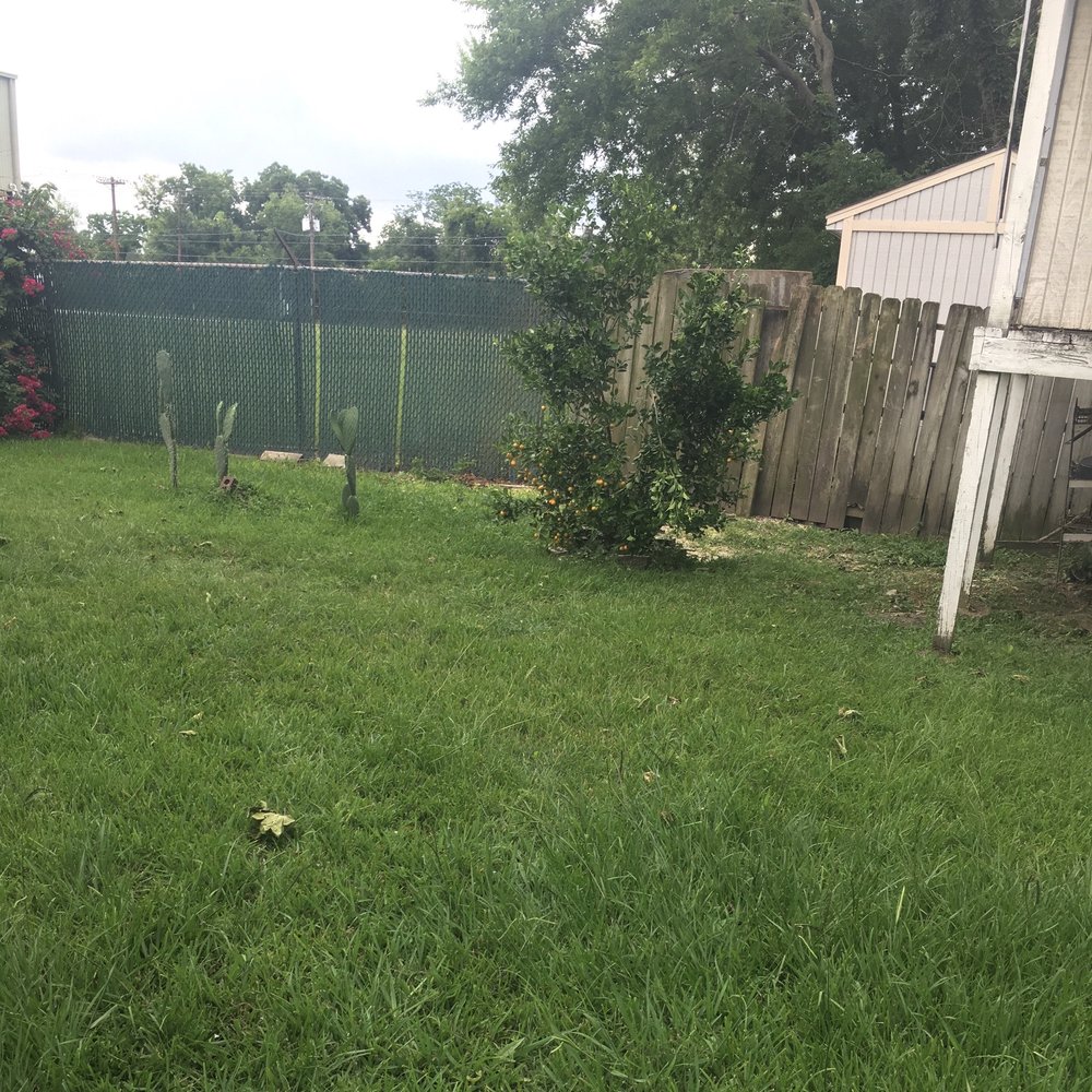 Aldine Tree Services Houston Stump Grinding