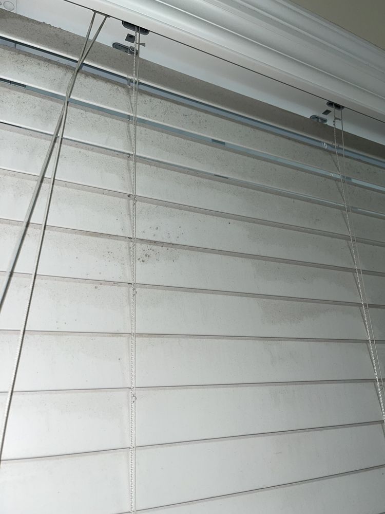 Royal Madams cleaning