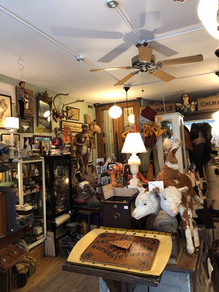 Obscura Antiques 111 Photos & 129 Reviews Antiques 207 Ave A