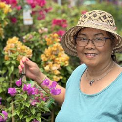 The Flower Bin Garden Center & Nursery photo