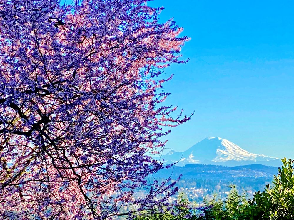 Ken Williams CHFC CLTC CLU CHRS