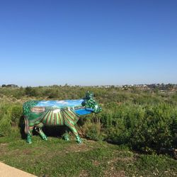 Back Bay View Park 10 Photos Parks Jamboree Rd And Pacific Photo Of Back Bay View Park Newport Beach Ca United States Urban