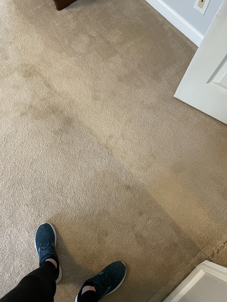 Nelson Carpet Cleaning