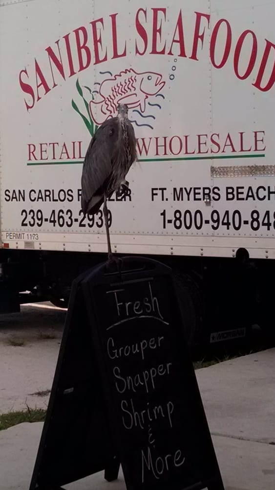 Sanibel Seafood Seafood 870 Buttonwood Dr, Fort Myers Beach, FL