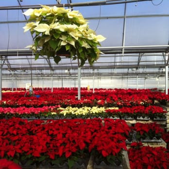 Farrand Farms 11 Photos 12 Reviews Nurseries Gardening Photo Of Farrand Farms Kansas City Mo United States Holiday S