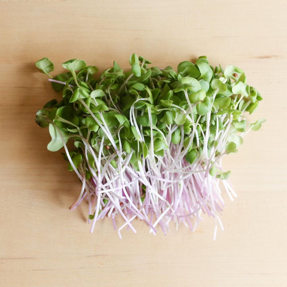 Microgreen FX