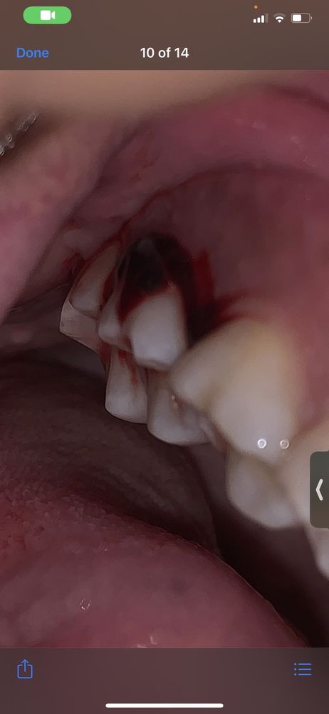 image of business Prime Choice Dental