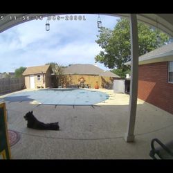 Lake Air Pool Supply Hot Tub 3342 Franklin Ave Waco Tx Photo Of Lake Air Pool Supply Waco Tx United States