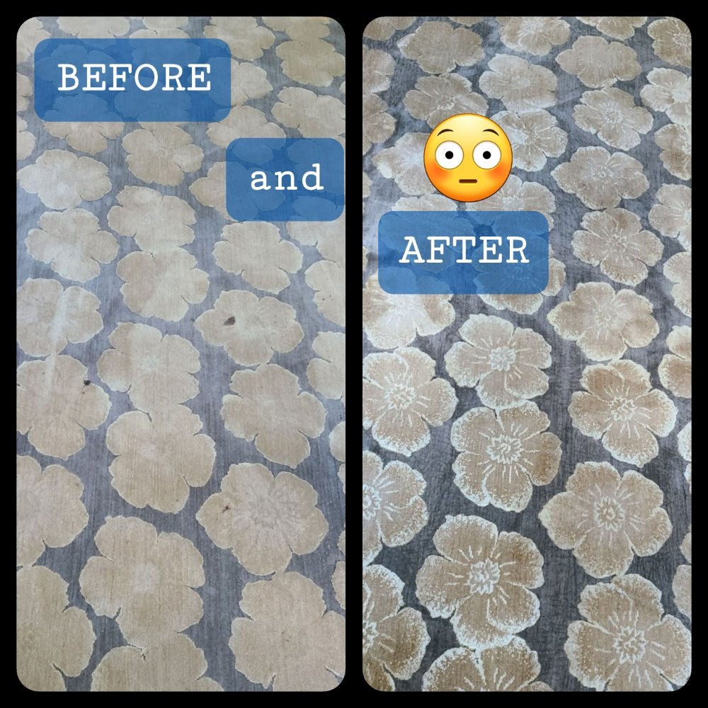 Kraken Cleaning