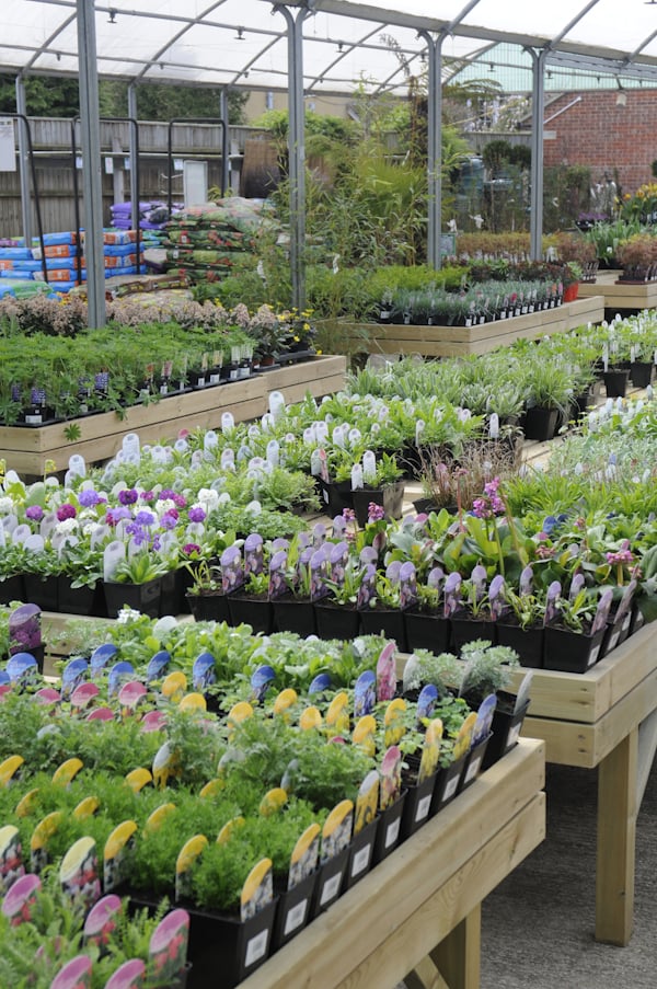 Golden Acres Garden Centre Nurseries & Gardening 359 Christchurch