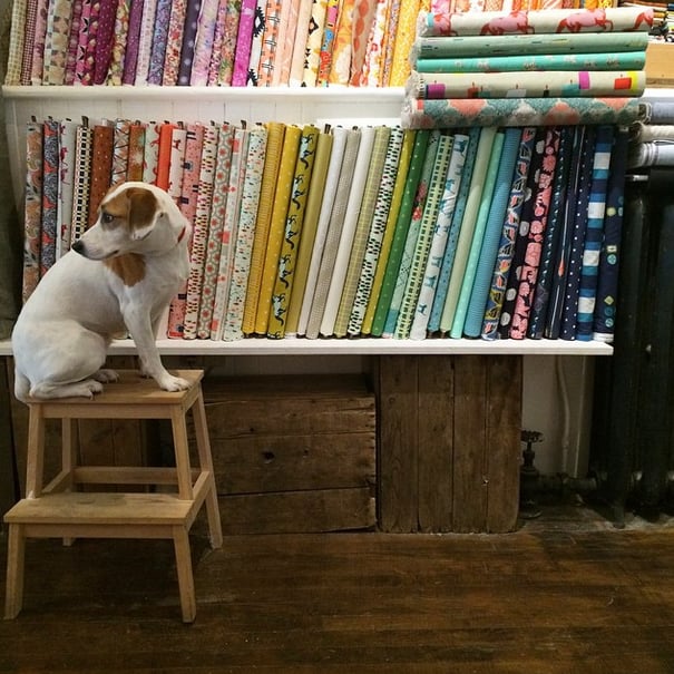 Photos for Needlework Yelp