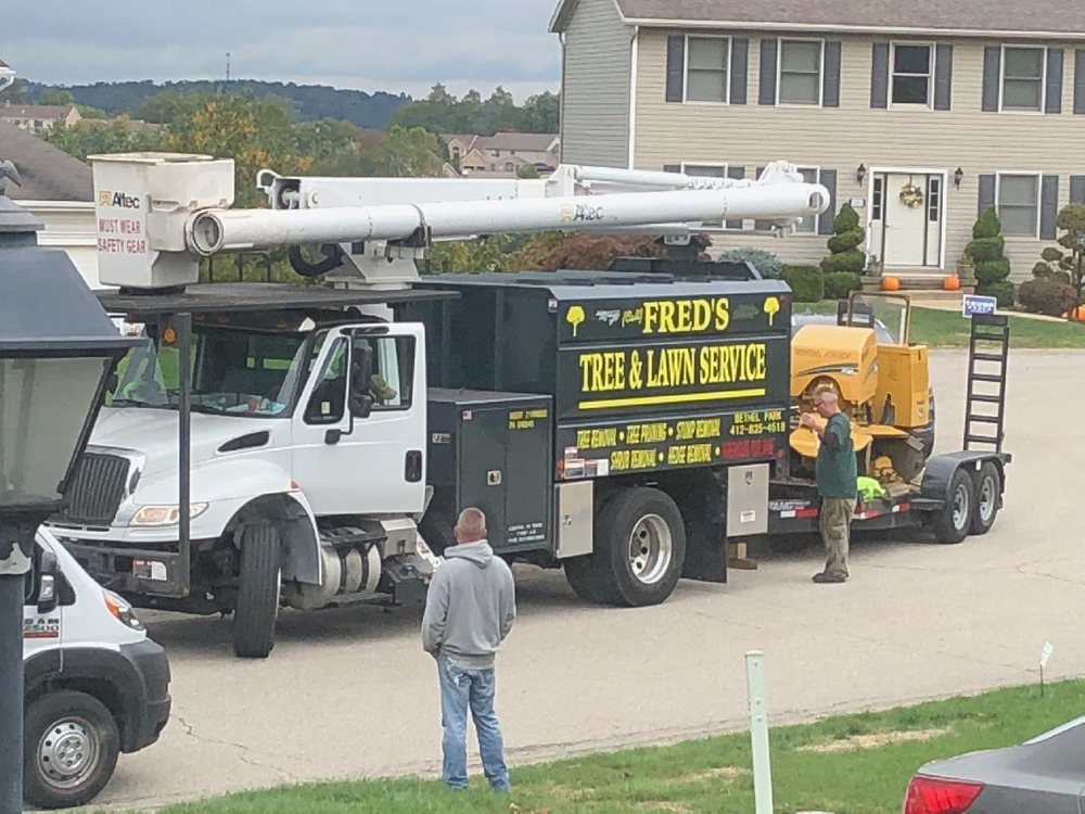 Fred's Tree & Lawn Service