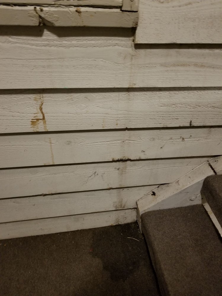 Water Leaking Through The Wall During A Rain Storm Plus