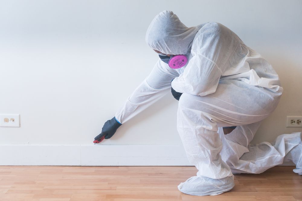 image of business Premier Restoration Hawaii