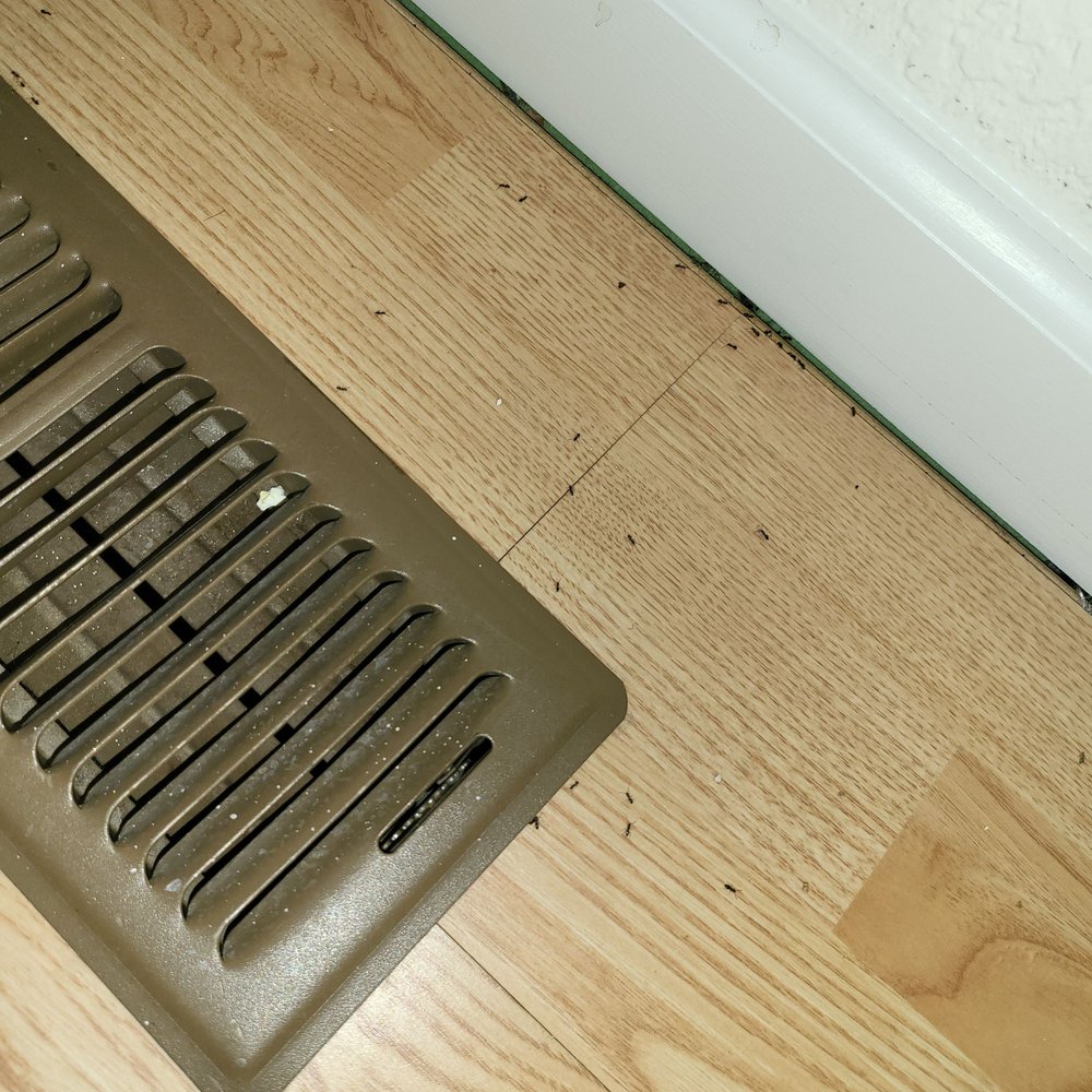 Real Property Management Eclipse