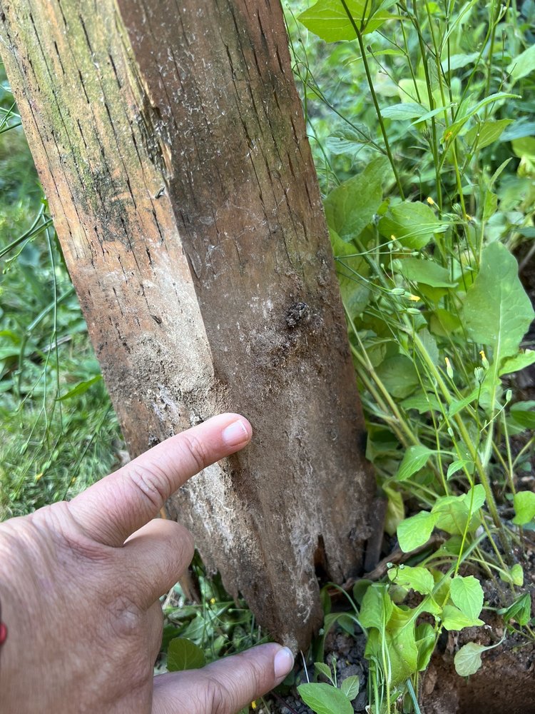 Pacific Fence & Wire Co