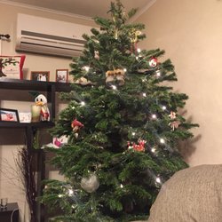Delancey Street Foundation Christmas Tree Lot Holiday
