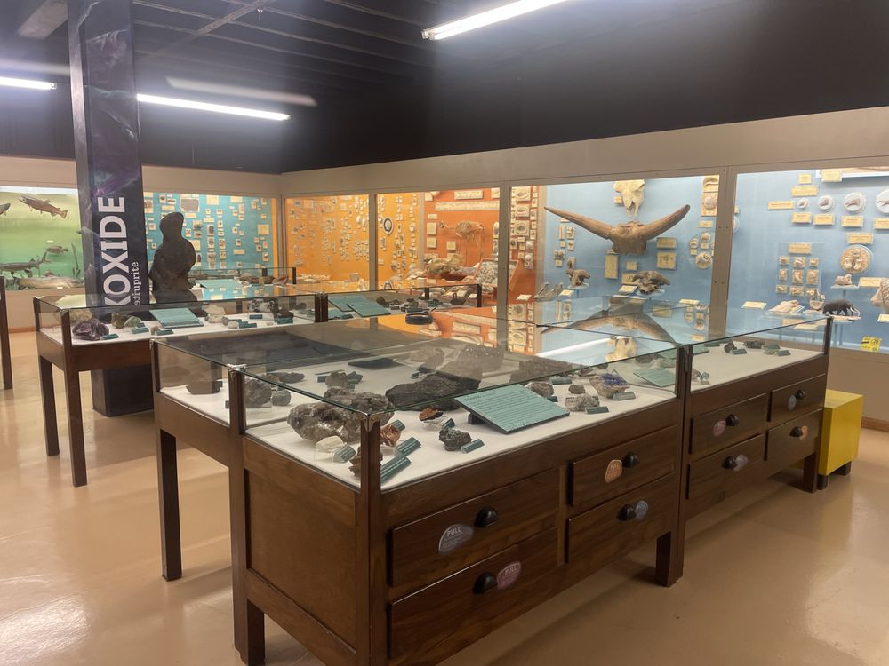 Hastings Museum