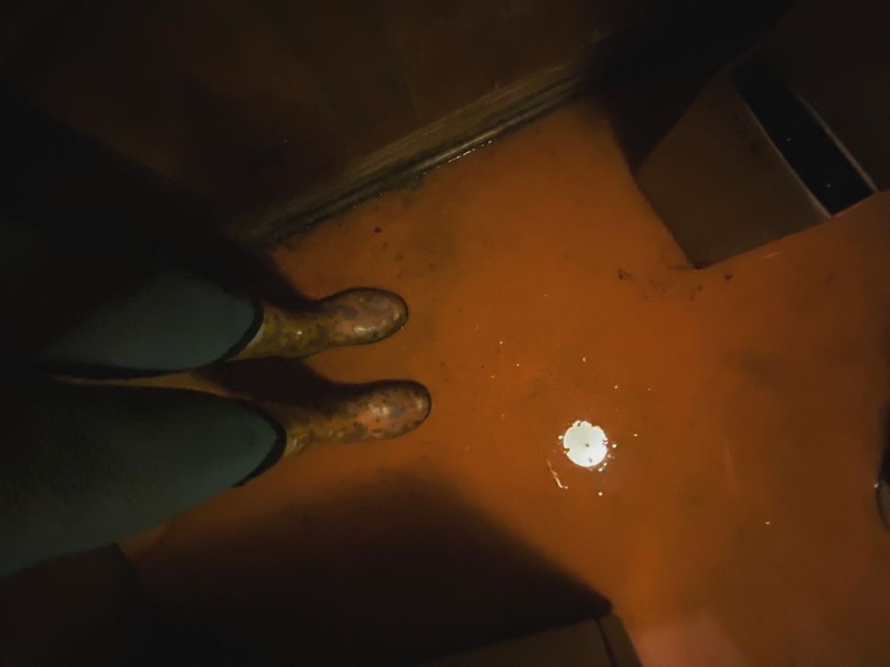 Oak City Tree Service