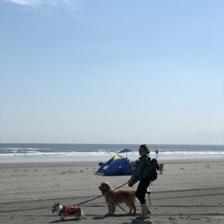 Wildwood Dog Beach 90 Photos 21 Reviews Parks E Glenwood Photo Of Wildwood Dog Beach Nj United States Area The