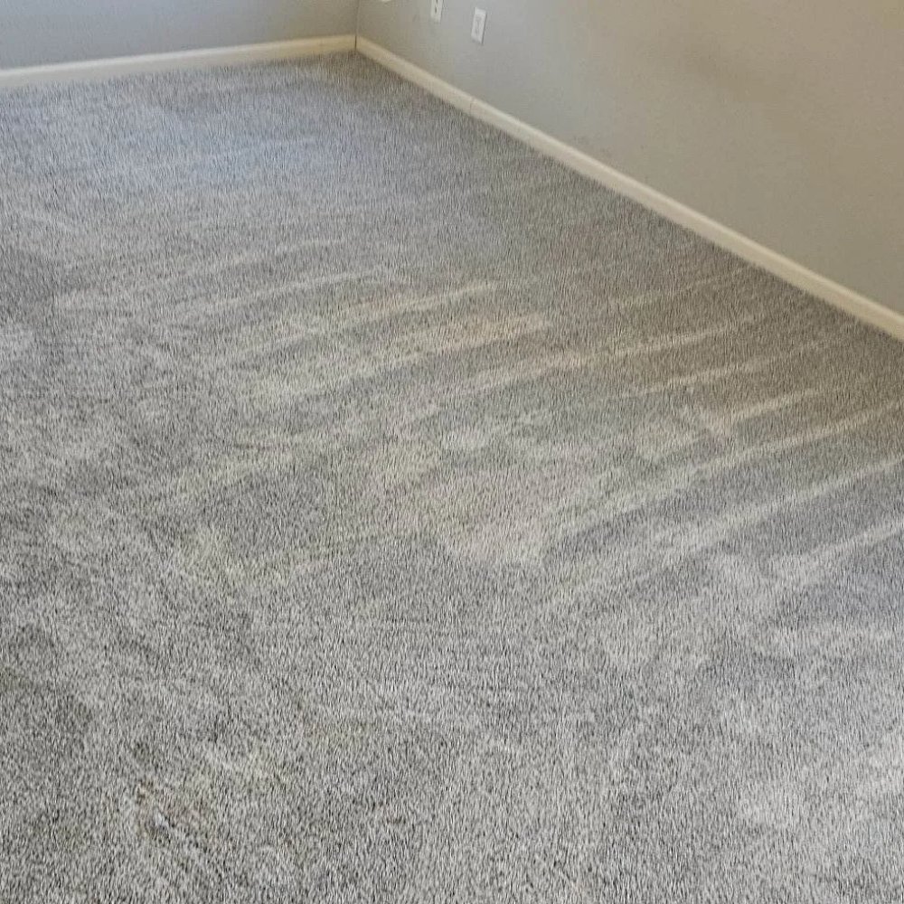 All Clean Carpet Cleaning