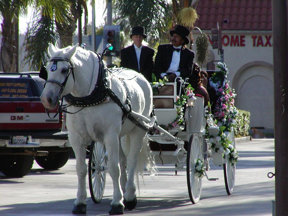 Fairytale Carriage