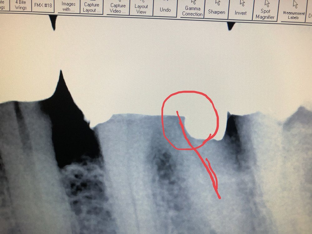image of business D Dental