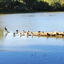 Don Castro Regional Recreation Area 157 Photos & 30 Reviews Parks