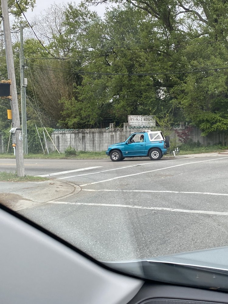 The Painted Lady bonsai