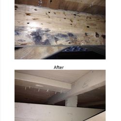 Nj Mold Testing Remediation Environmental 55 Union Pl Photo Of Nj Mold Testing Remediation Summit United States
