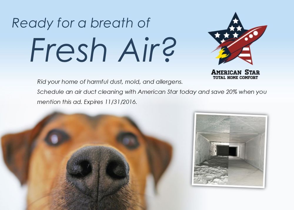 image of business American Star Total Home Comfort