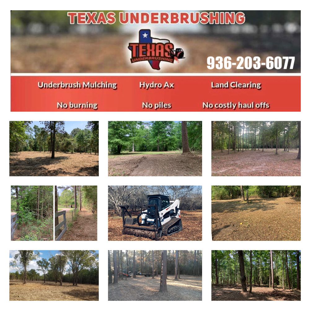 Texas Underbrushing